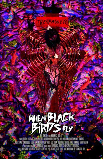 Смотреть Когда прилетают черные птицы (2016) онлайн